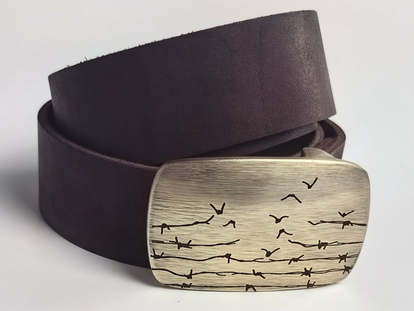 Viasna pryjdzie — выява 6