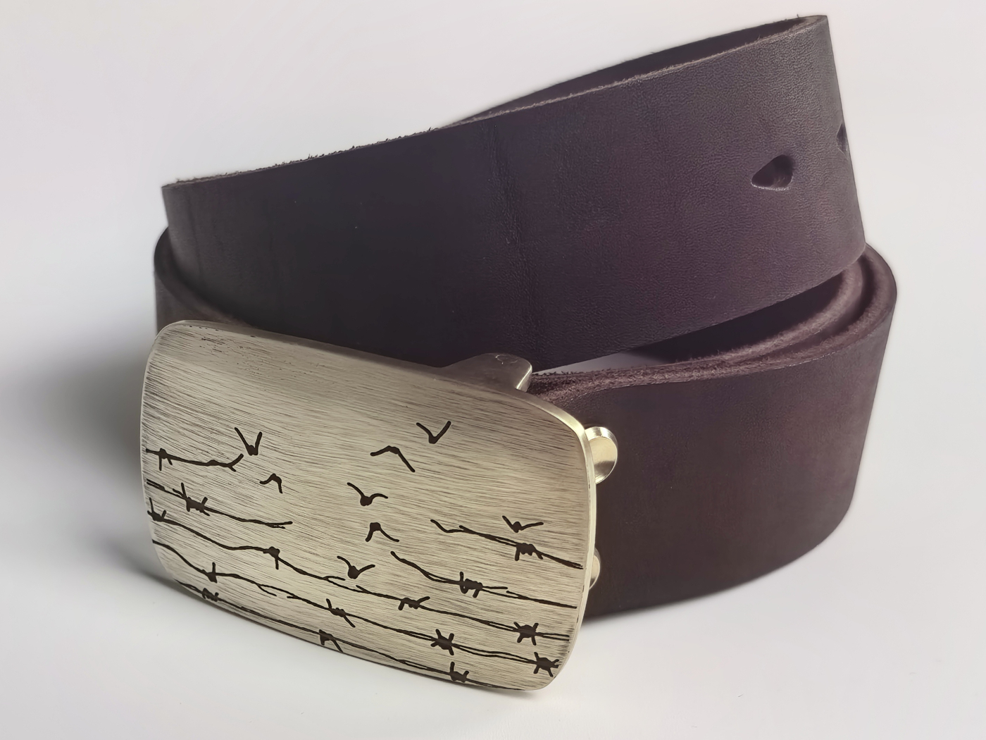 Viasna pryjdzie — выява 5