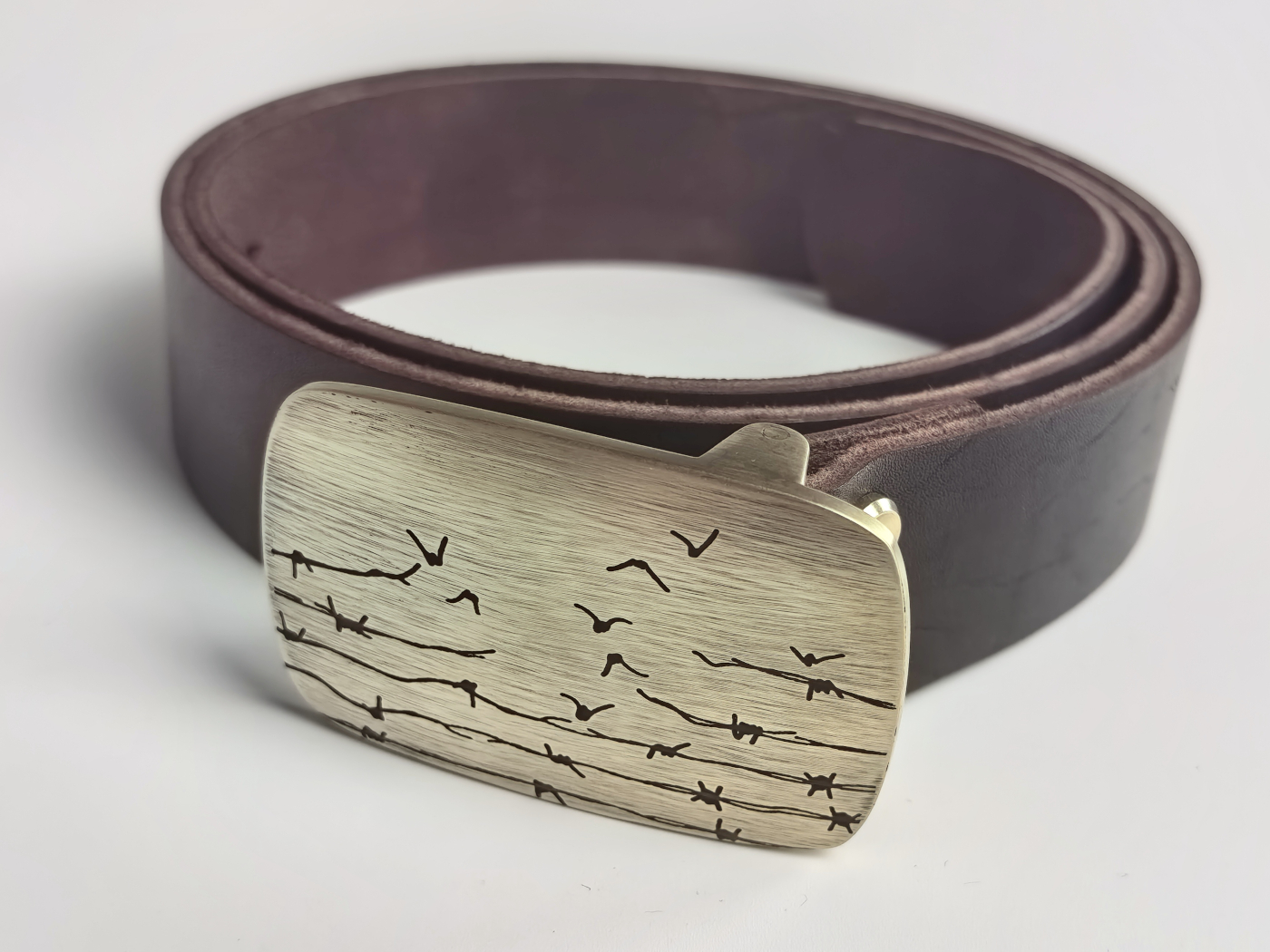 Viasna pryjdzie — выява 3