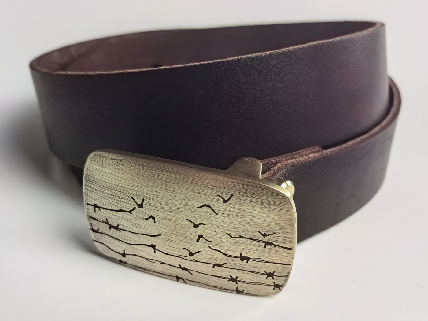 Viasna pryjdzie — выява 4