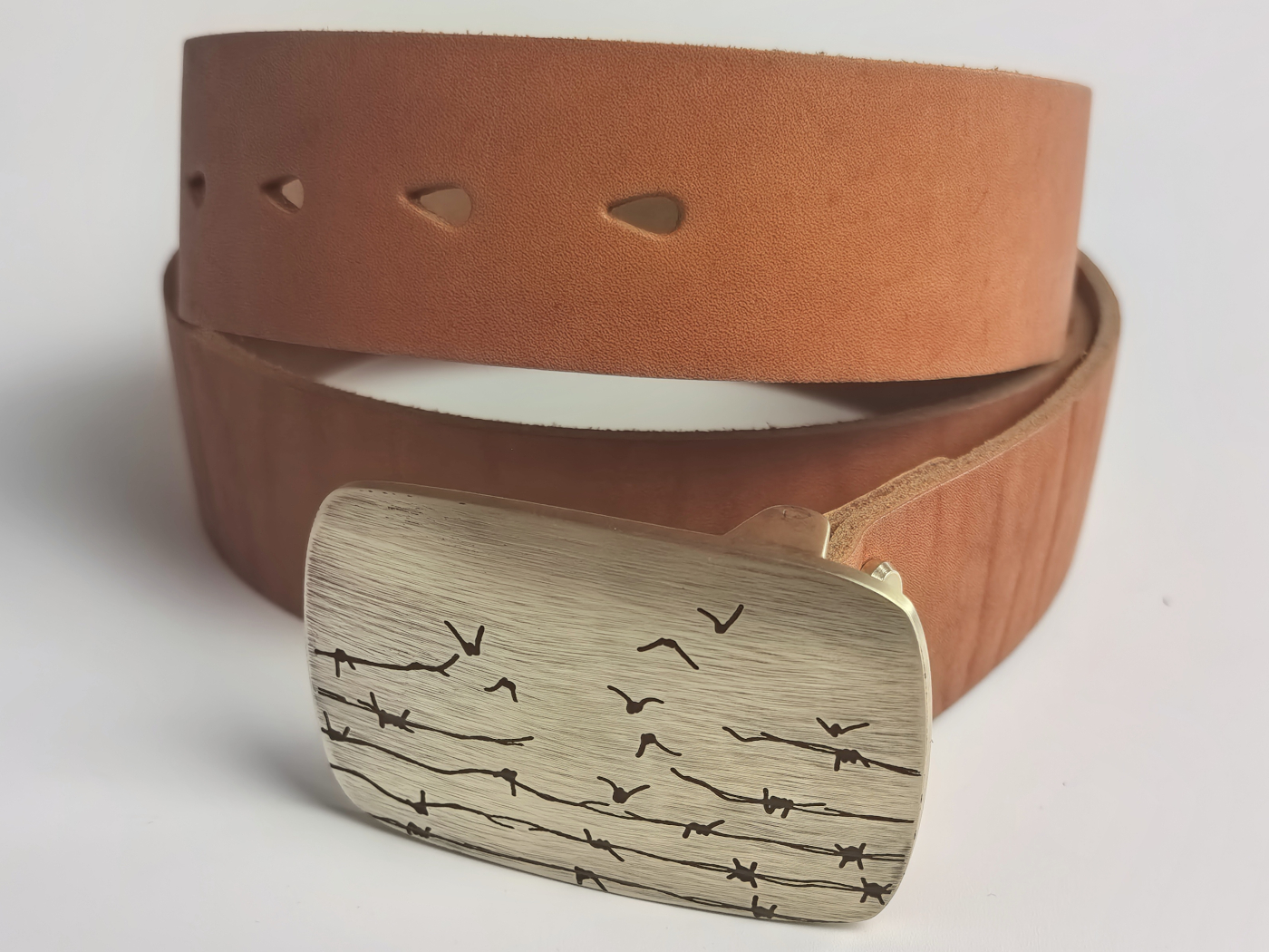 Viasna pryjdzie — выява 8