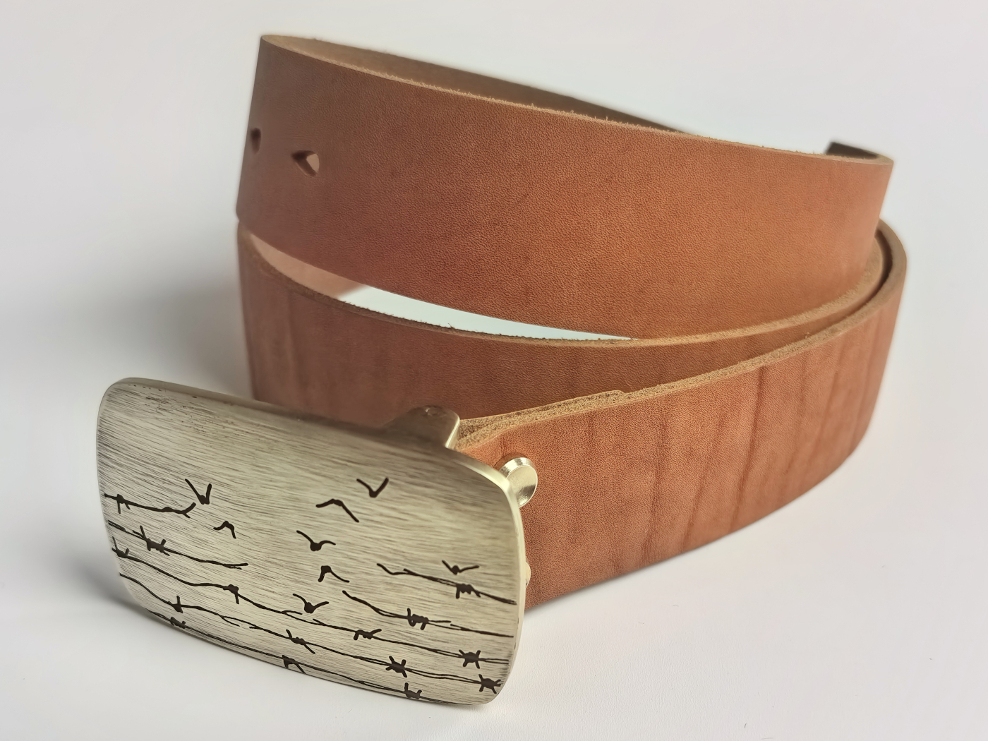 Viasna pryjdzie — выява 7