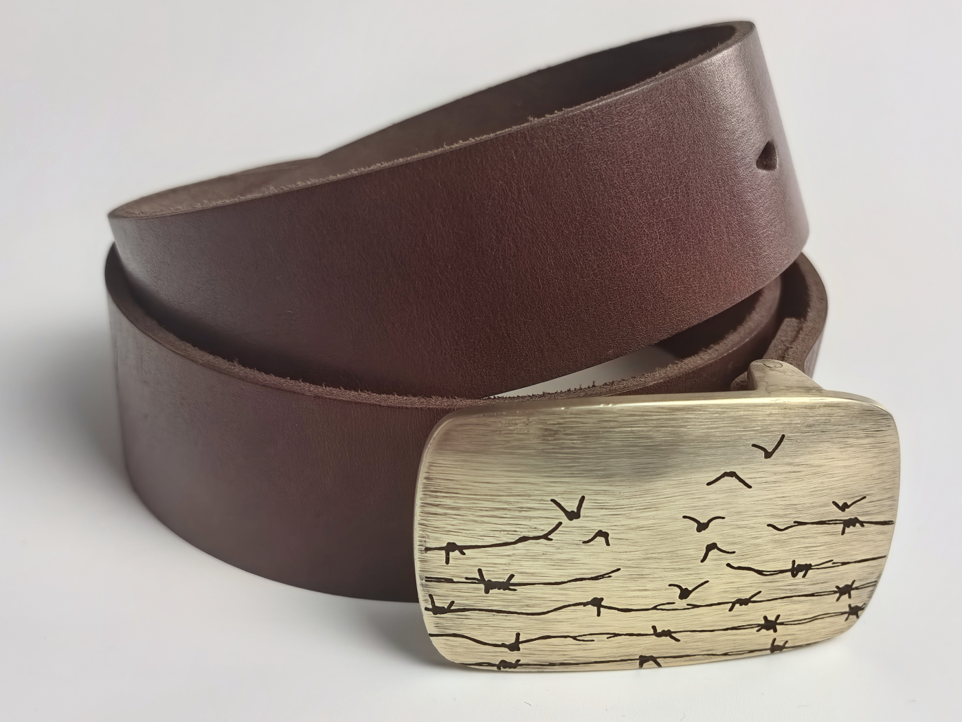 Viasna pryjdzie — выява 2